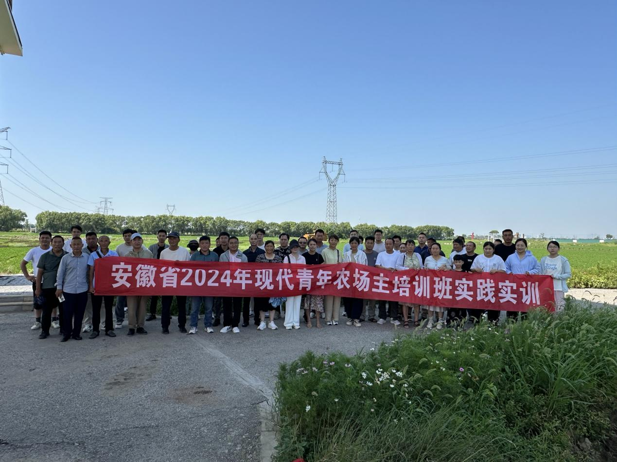 图片6.png
