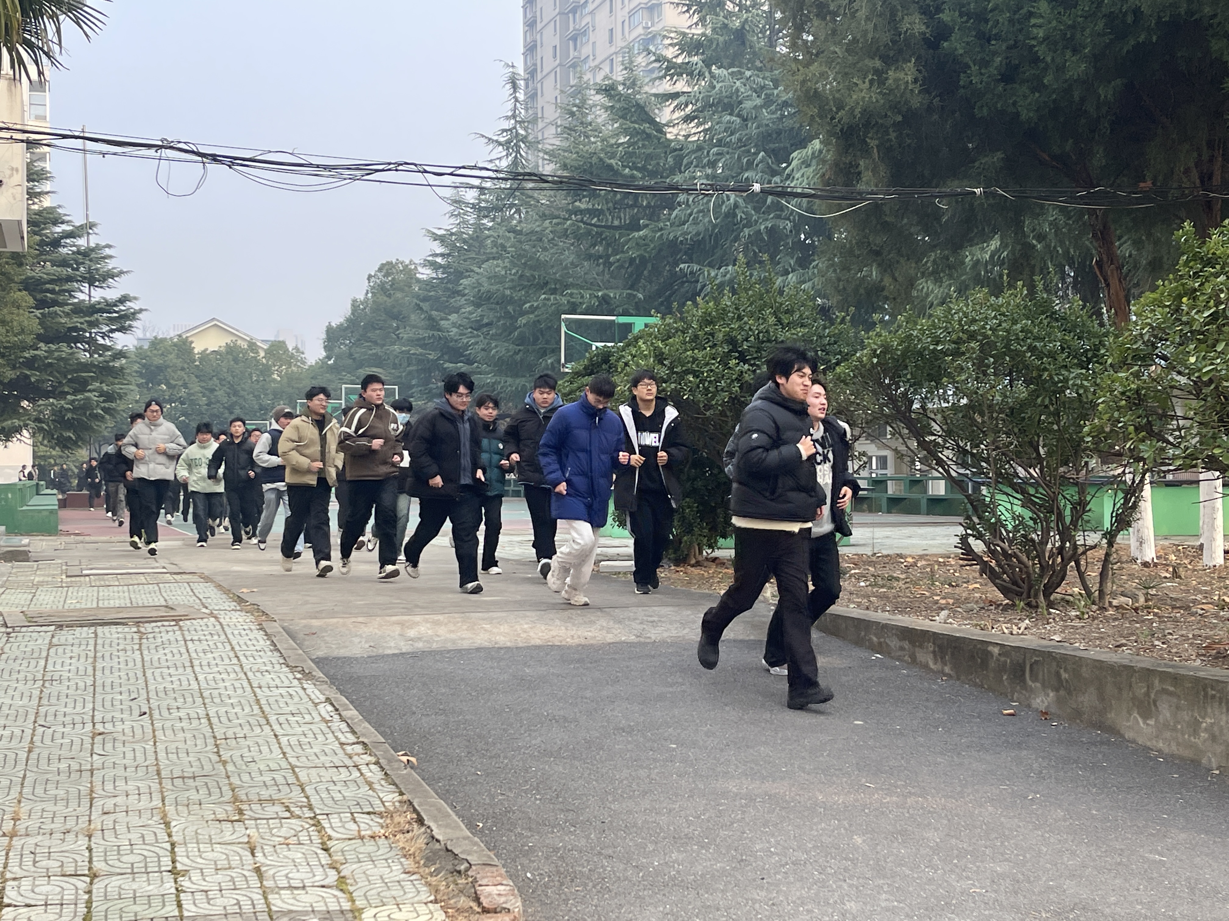 2025-12-18-10-57-35.jpg 3.jpg